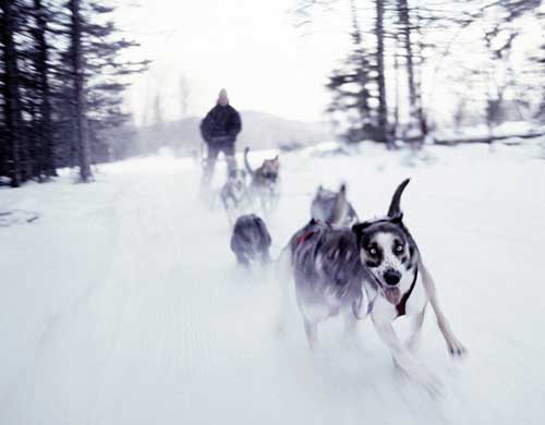 Eden Mountain Lodge in Vermont