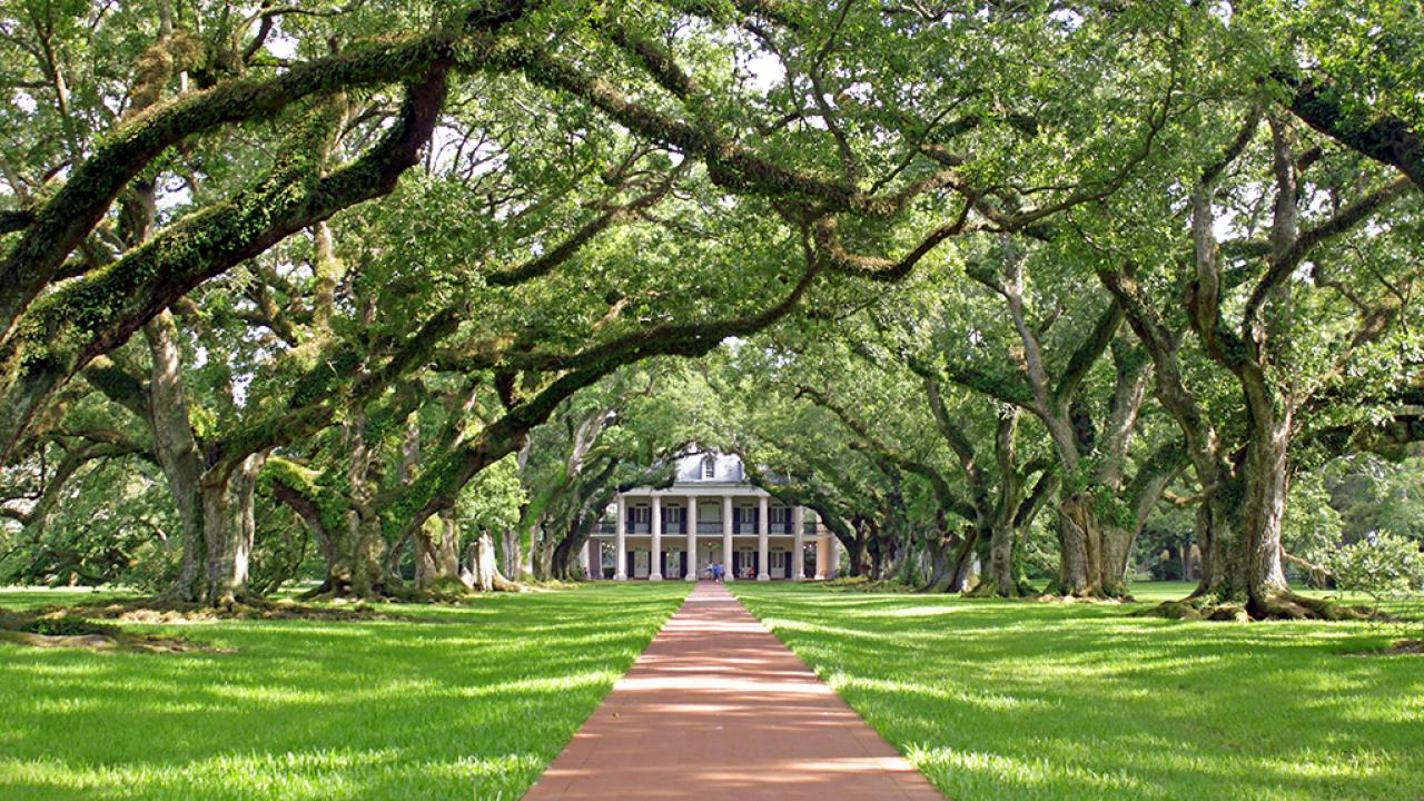 Oak Alley Plantation Bed and Breakfast in Louisiana