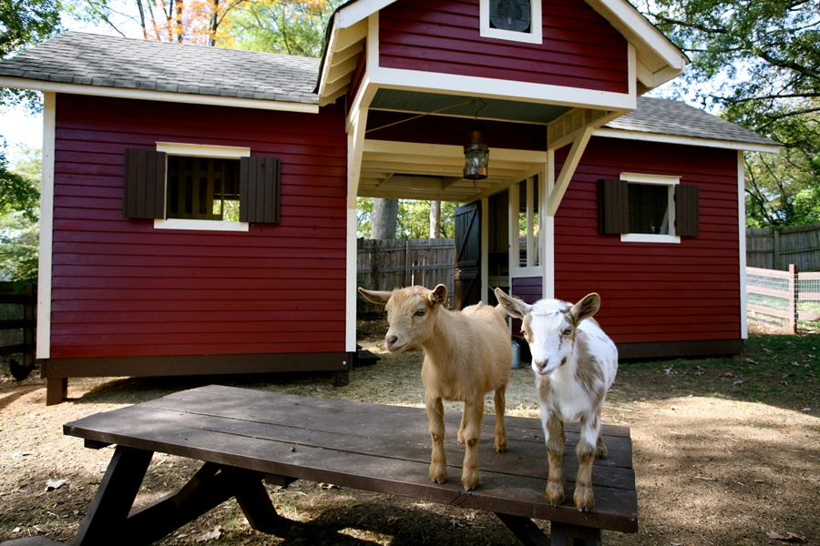 The Social Goat Bed and Breakfast in Georgia