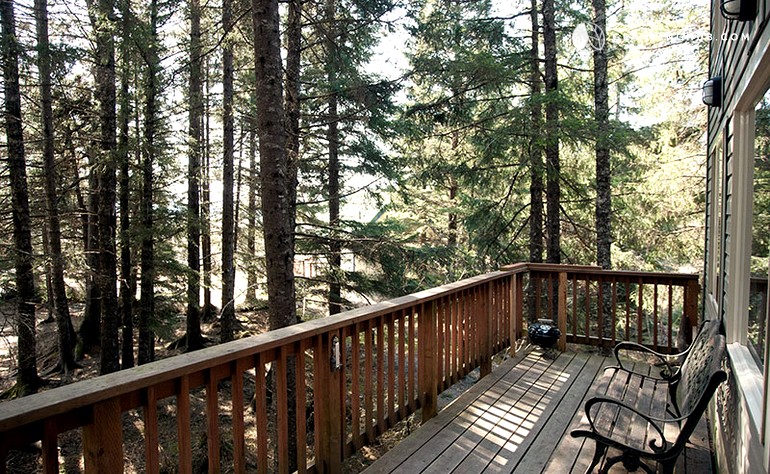 Luxurious Treehouse in Alaska