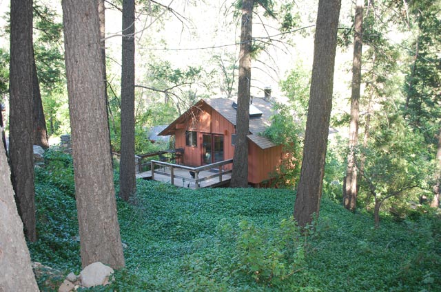 A Forest Resort Treehouse in Arizona