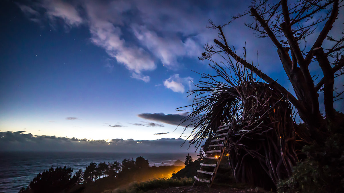 Human Nest Treehouse in California