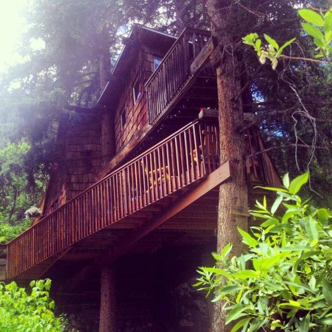 Rocky Mountain Treehouse in Colorado