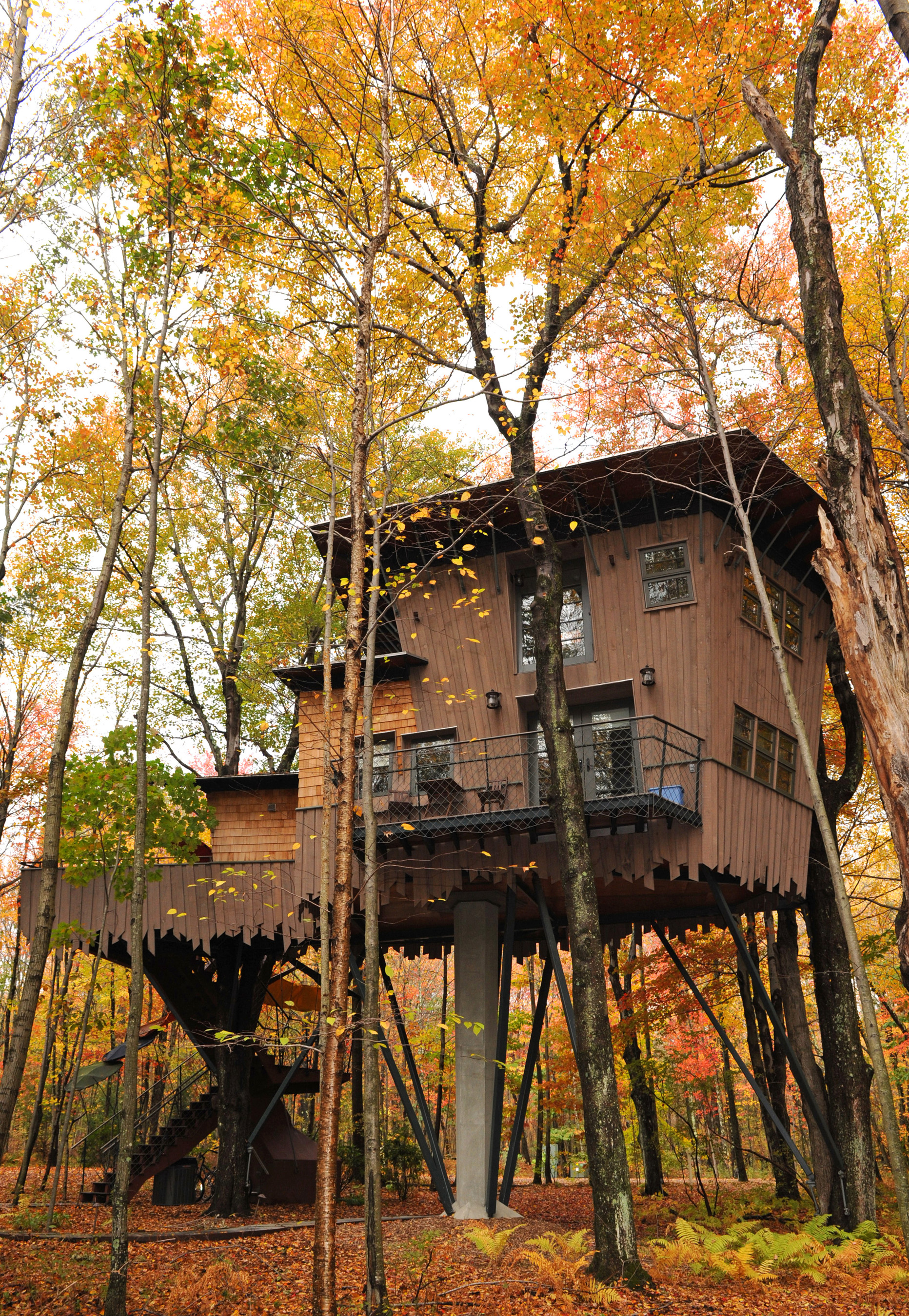 Winvian Farm's Treehouse in Connecticut