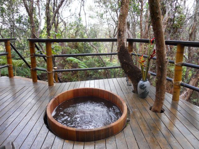 an exotic paradise treehouse in Hawaii