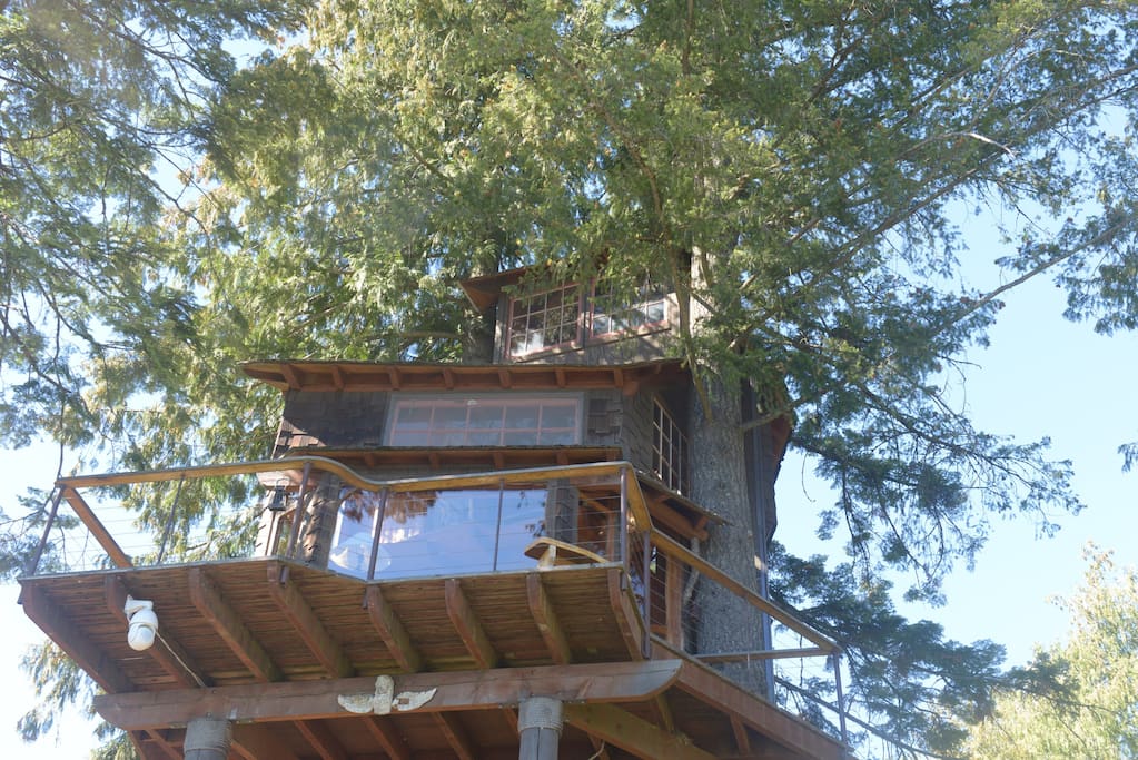 lakeside treehouse in Idaho