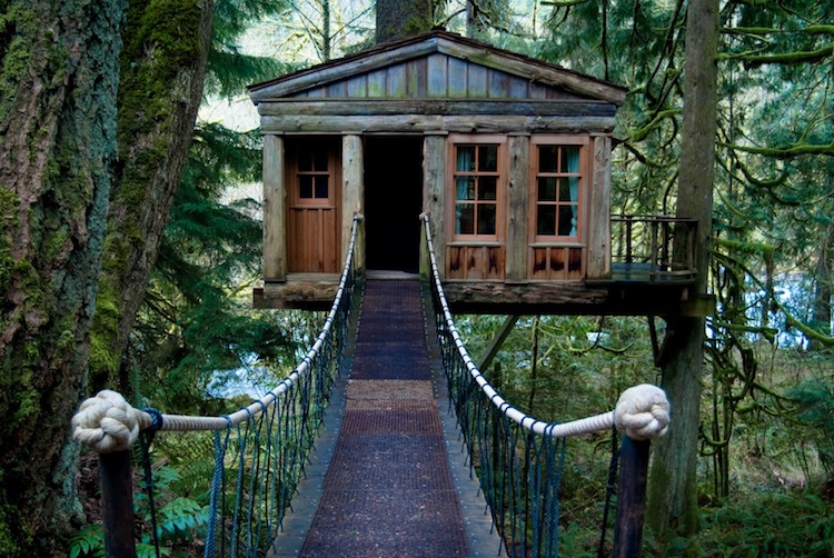 a beautiful treehouse hotel